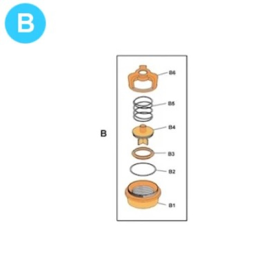 item#B TEE Piston and Liners 3x5