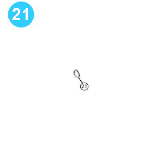 item#21 Ram LWS Shaffer Style - 6