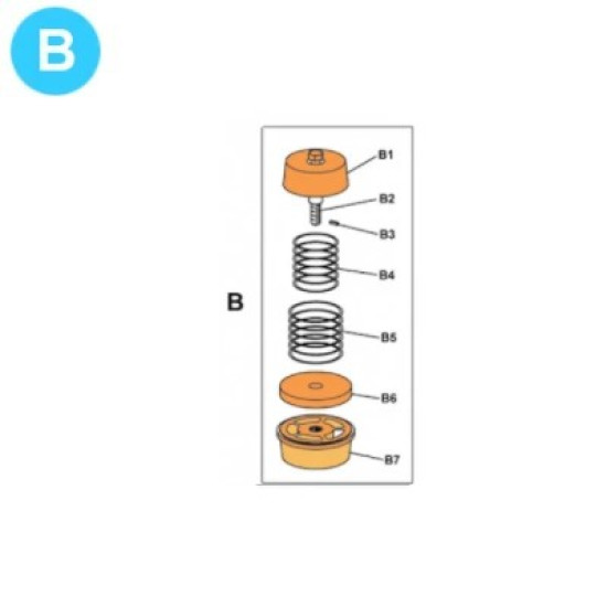 item#B TEE Piston and Liners 2x5