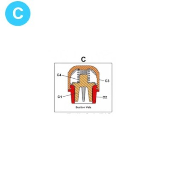 item#C TEE Piston and Liners 2x5