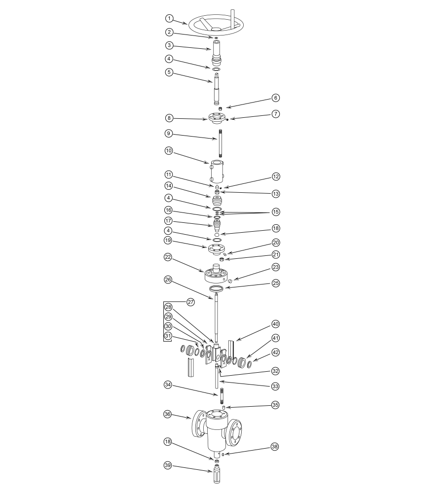 visual-image