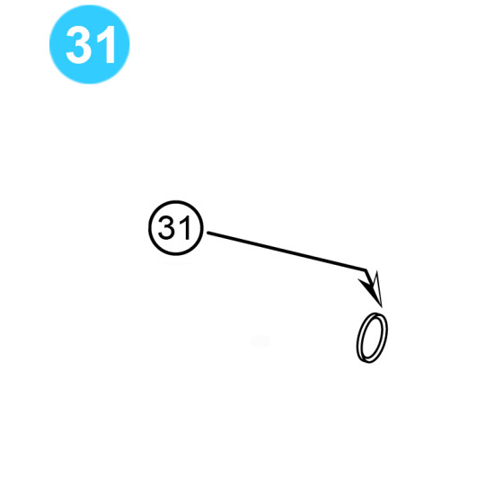 item#31 Seal Ring for CIW Hydraulic F & FC Gate Valve image