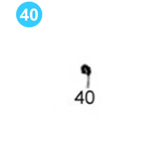 Tulsa Style Model 70 Snap Ring image