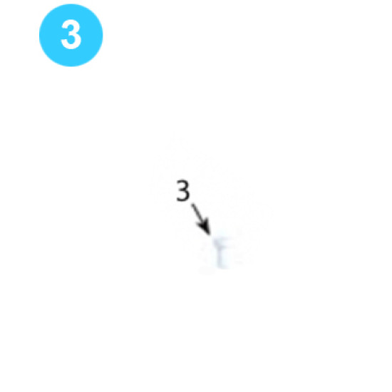 Backup Body Assembly - Compression LC Config 3/8