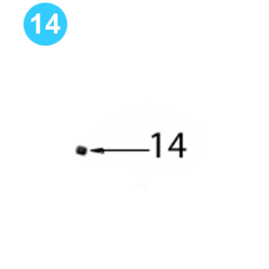 Motor Mount Assembly 3/8