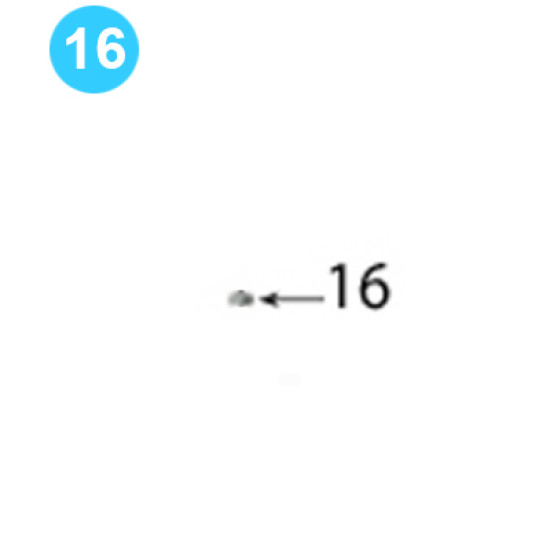 09-1405 Cageplate Assembly 5/8