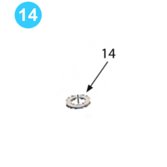 Backup Assembly 1-1/4