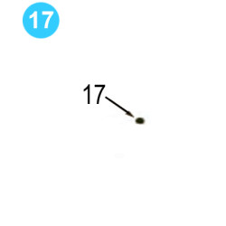 Cage Plate Assembly Farr Style HD20000 (80K) Backing Pin Knob