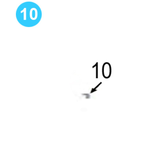 Tong Body Assembly Farr Style HD20000 (80K) 1-1/2