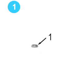 Tong Doors Assembly Farr Style HD20000 (80K) 1" UNS Thin Nylock Nut