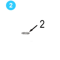 Tong Doors Assembly Farr Style HD20000 (80K) 1" Narrow Flat Washer