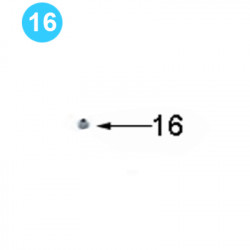 Cage Plate Assembly Farr Style HD22000 (80K) 1" UNC Nylock Nut