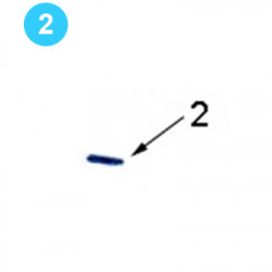 Cage Plate Assembly Farr Style HD22000 (80K) Backing Pin Retainer