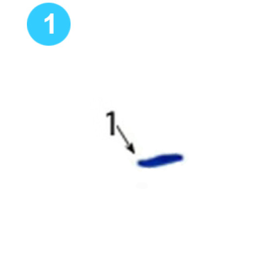 Rotary Gear Backing Pin Retainer Plate 1393-40 Farr Style Tong KT14000 (50K) image