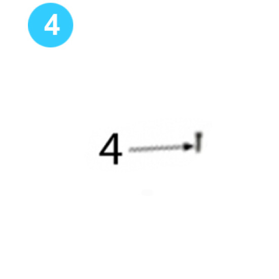 Clutch Assembly #10 x 3/4