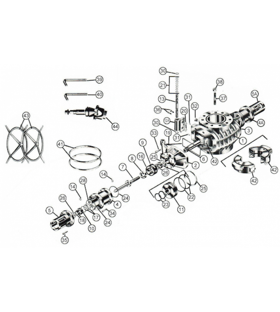 visual-image
