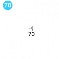 16977 BJ Style RS Power Tong Gear Shift Handle Lock Pin Spring