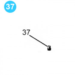 item#37 7/8" Plunger Triplex Pump T-Series 3 to 30 HP Plug item#37 7/8" Plunger Triplex Pump T-Series 3 to 30 HP Plug