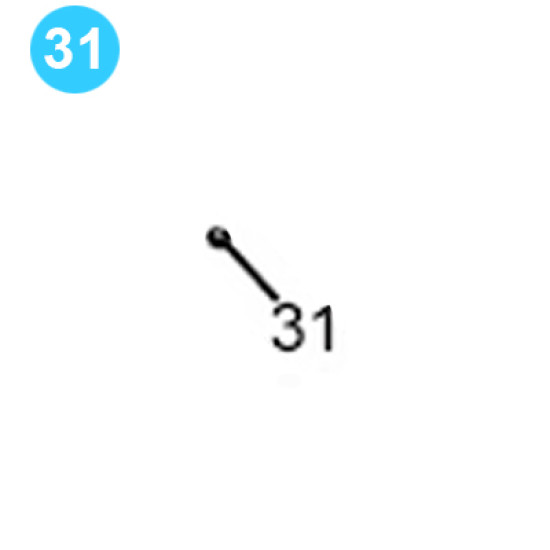 item#31 Air Operated Pump 60-1 Ratio, 8