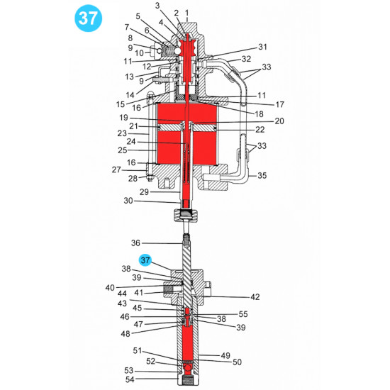 item#37 Air Operated Pump 50-1 Ratio 5-1/4