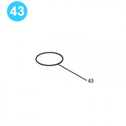 item#43 Air Operated Pump 50-1 Ratio, 6" O-Ring item#43 Air Operated Pump 50-1 Ratio, 6" O-Ring