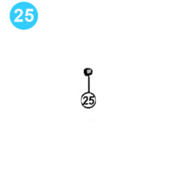 item#25 2" Type B Cameron Style Reset Relief Valve Roller item#25 2" Type B Cameron Style Reset Relief Valve Roller