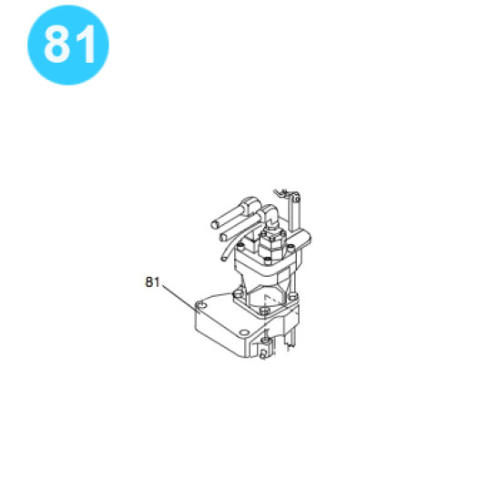 item#81 Eckel Style 7-5/8