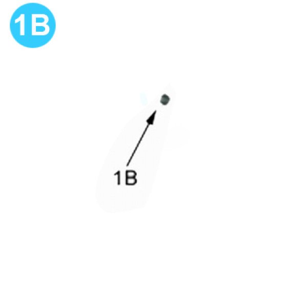 item#1B 2500 Mission Style- Supreme Nut, Casing 2500 Mission Style- Supreme image