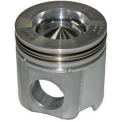 1010016 Piston 1010016 Piston