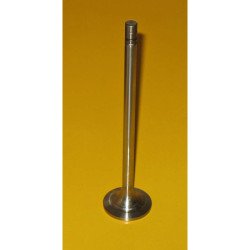 1018314 Exhaust Valve 1018314 Exhaust Valve