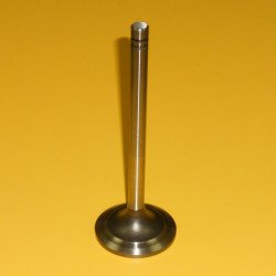 2W2877 Exhaust Valve 2W2877 Exhaust Valve