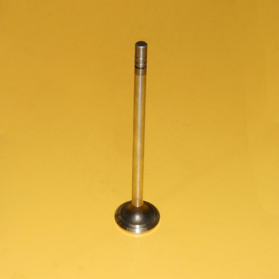 2243030 Exhaust Valve image