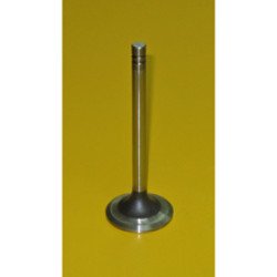 1487455 Exhaust Valve 1487455 Exhaust Valve