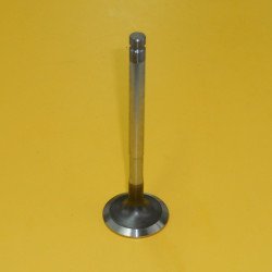 2255499 Exhaust Valve 2255499 Exhaust Valve