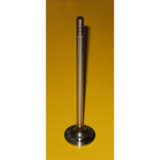 Showing image for 2120932 Intake Valve 2120932 Intake Valve image