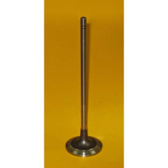 Showing image for 1W8606 Intake Valve 1W8606 Intake Valve Valves image