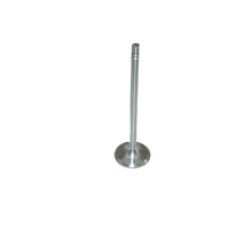 1P0407 Intake Valve 1P0407 Intake Valve