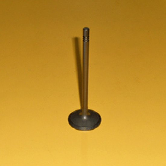 Showing image for 3096678 Intake Valve 3096678 Intake Valve Valves image