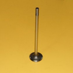 2527802 Intake Valve 2527802 Intake Valve