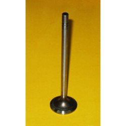 1929213 Intake Valve 1929213 Intake Valve