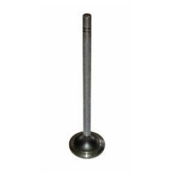 1537023 Intake Valve 1537023 Intake Valve