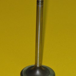 1007860 Intake Valve 1007860 Intake Valve