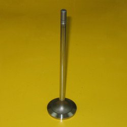 2102542 Intake Valve 2102542 Intake Valve