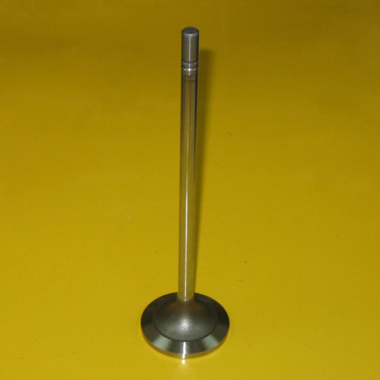 Showing image for 2102542 Intake Valve 2102542 Intake Valve Valves image
