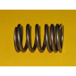 2S4213 Valve Spring 2S4213 Valve Spring