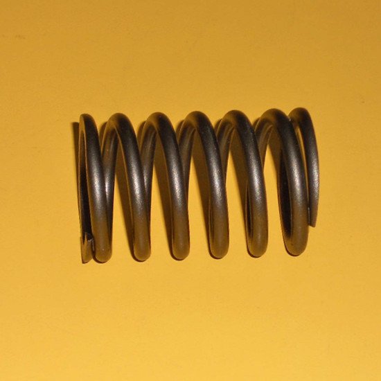 4F5408 Valve Spring Valve Springs image