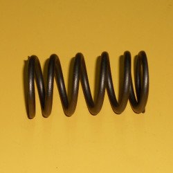 1906117 Valve Spring 1906117 Valve Spring
