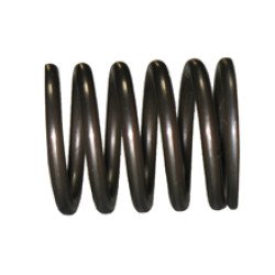 5F3112 Valve Spring 5F3112 Valve Spring