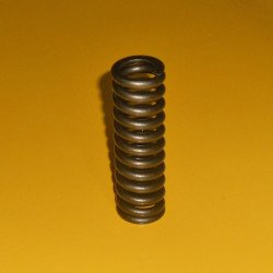 1376718 Valve Spring 1376718 Valve Spring