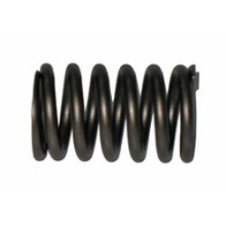 4W2471 Valve Spring 4W2471 Valve Spring